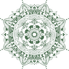 Beautiful flower art and mandala vector design