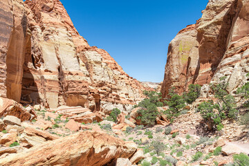 Rock formation and vegetation in Cohab Canyon in Capitol Reef National Park, Utah, USA
