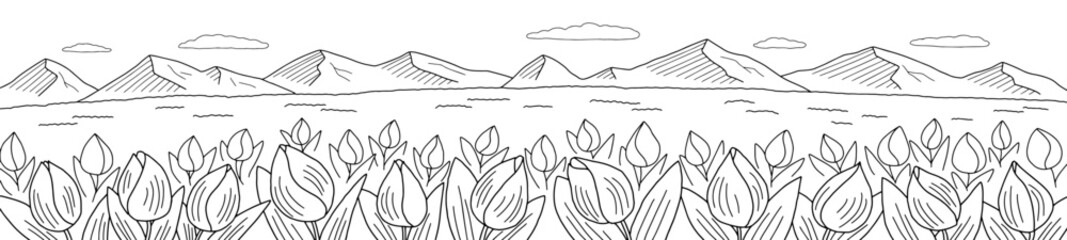Tulip field graphic black white landscape sketch long illustration vector 
