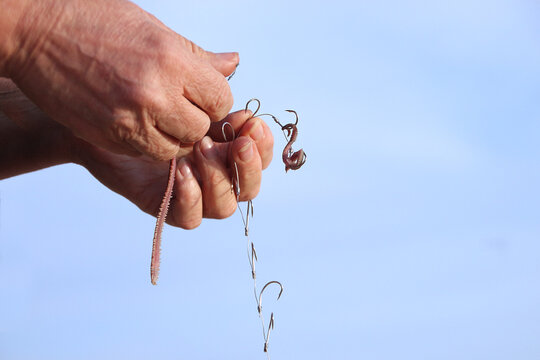 Close-up of a senior Woman's hands Putting bait on a fishing hook