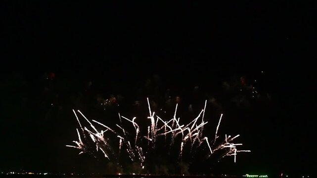 Fireworks display celebration over dark background 3D rendering