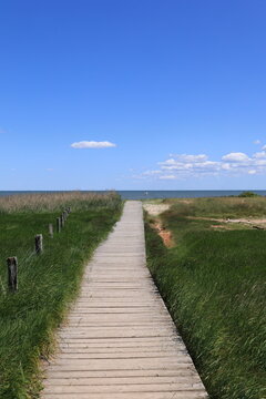 Blick auf die Braderuper Heide auf der Nordseeinsel Sylt	
