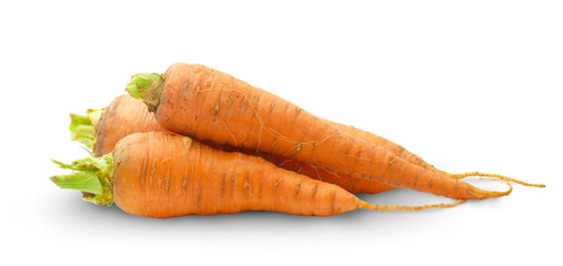 Fresh carrots