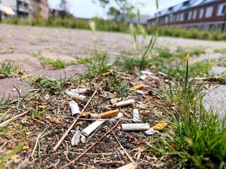 Smoked burnt cigarette butts and filters have been thrown away as litter on the street and lie on and next to the sidewalk in a residential area