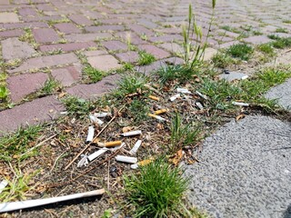 Smoked burnt cigarette butts and filters have been thrown away as litter on the street and lie on and next to the sidewalk in a residential area