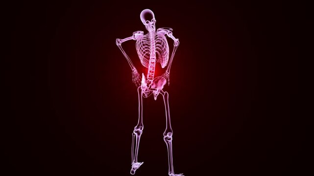 A human skeleton with lower back pain, highlighted spine vertebrae, 3D animation in colorful X-ray style on a black background.