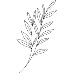 Leaves Line Illustration