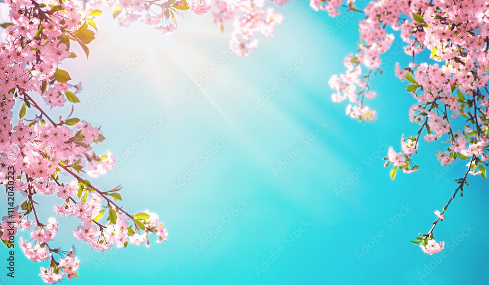 Poster branches of blossoming pink sakura macro with soft focus on gentle light blue sky background in sunl