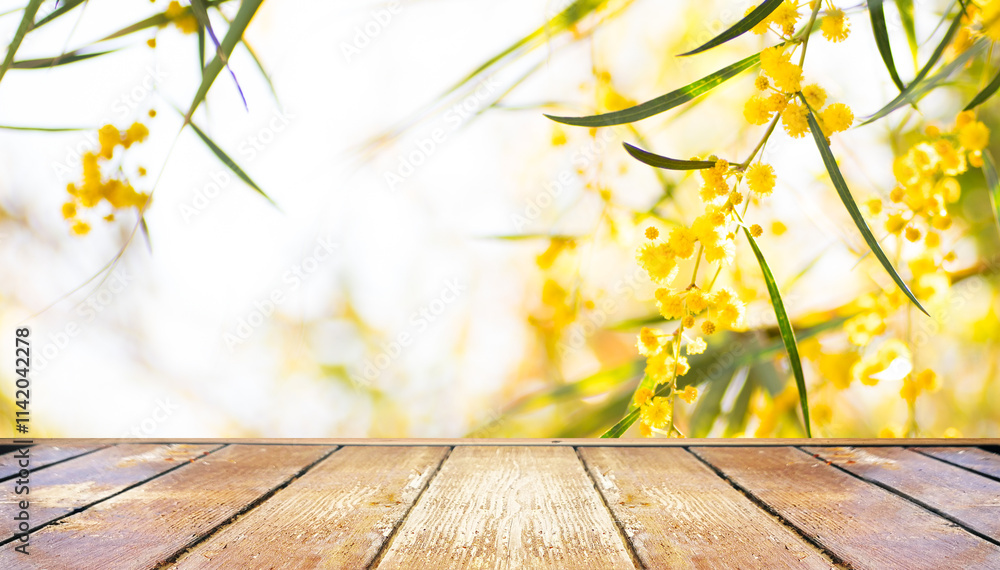 Poster spring beautiful nature background with blooming bright fluffy mimosa and empty wooden table in natu