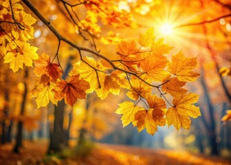 Golden sunlight filters through orange and yellow autumn leaves, illuminating a dry forest floor.