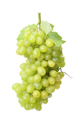Bunch of green grapes isolated