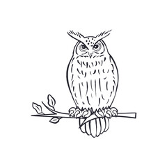 Hand drawn black and white line art eagle-owl sitting on tree branch isolated on white background. Monochrome nocturnal bird vector illustration.