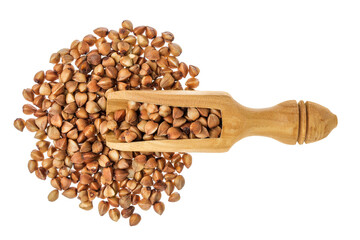 Raw buckwheat in wooden scoop isolated on white background. Top view. Flat lay