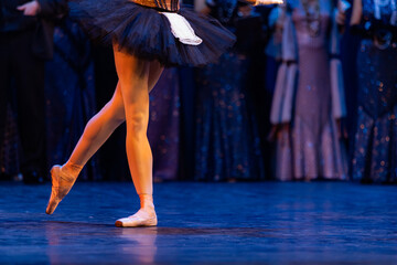 Closeup of ballerinas dancing on stage. © Ruslan
