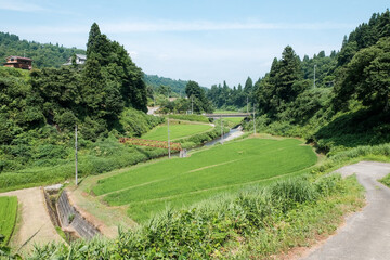 田舎の風景