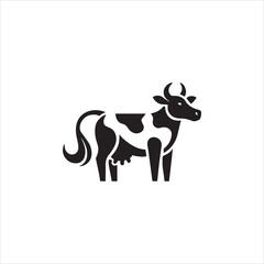 black and white cow