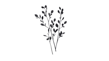 Tree branch, transparent background