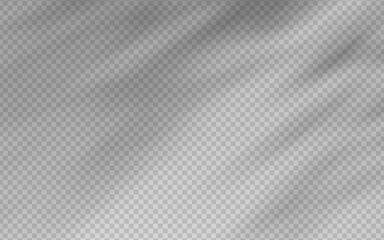 Abstract shadow overlay from foliage on a transparent background.