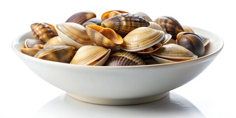 Miniature Cardiidae shells fill a bowl, a close-up tilt-shift macro reveals intricate detail.
