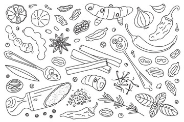 Spices vector illustration. Black and white doodle set of spices, herbs, and seasoning. Cartoon style, flat design, outline pepper, cinnamon, star anise, garlic, saffron, chili, cardamom, cloves
