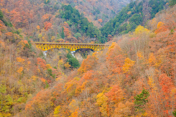 秋の豆焼橋から見た景色　埼玉県秩父市　The view from Mameyaki Bridge in autumn. Saitama Pref, Chichibu City.