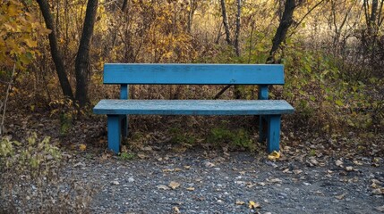 A blue bench in a serene, autumnal forest setting.