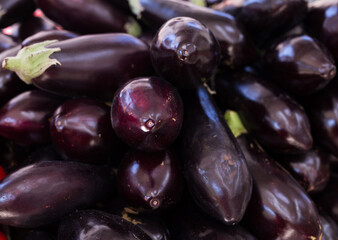 Fresh eggplant on market counter