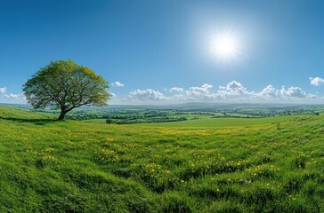 Fototapeta premium Vibrant Green Meadow Under Bright Sunlight with a Solitary Tree and Blue Sky in a Beautiful Natural Landscape