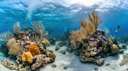 A vibrant coral reef teeming with colorful marine life, highlighting ecological diversity
