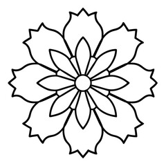 black and white rose