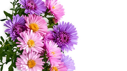 Fototapeta premium Pink and purple aster flowers in a autumn corner arrangement isolated on white or transparent background