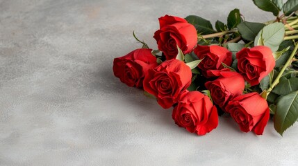 Beautiful Red Roses for Valentine