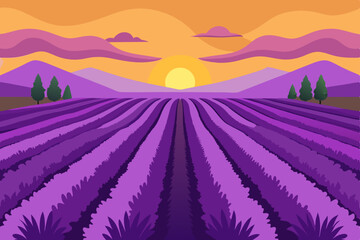 Serene Lavender Farm Scene with Vibrant Purple Blooms at Sunset