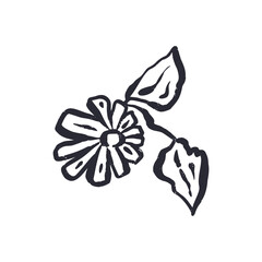 Black and white minimal abstract inky line art flower. Monochrome sketchy textured loose floral doodles. Hand drawn botanical abstraction