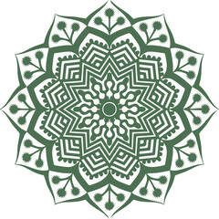 Beautiful flower art and mandala vector design