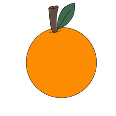 orange fruit illustration