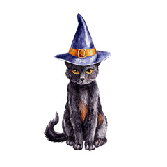 Black Cat sorcerer in a hat illustration watercolor