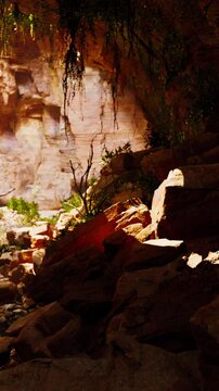 A cave filled with lots of rocks and plants