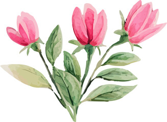 Fototapeta premium bouquet of pink tulips