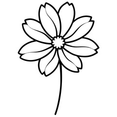 black and white flowers