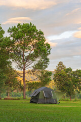 Tourist dome tent camping at forest camping site