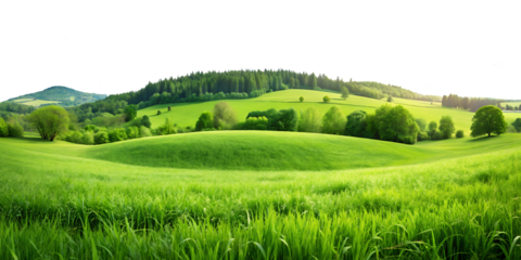 Meadow full of green grass, panorama view landscape scenery, isolated on a white background PNG.AI GENERATED