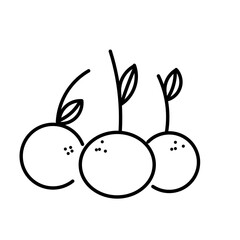 Orange fruit line icon. linear style sign for mobile concept and web design. Orange with leaf outline vector icon. Symbol, logo illustration. Vector graphics