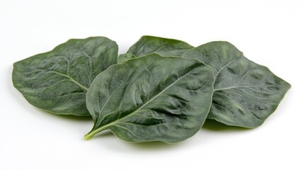 Obraz premium Fresh Spinach Leaves Isolated on White Background for Healthy Cooking