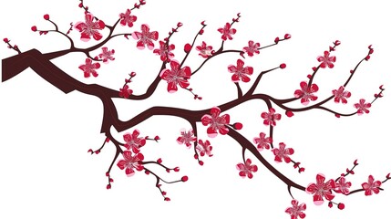 Fototapeta premium &nbsp;The Captivating White Background Cherry Blossom Tree: A Vision of Delicate Beauty and Springtime Splendor.