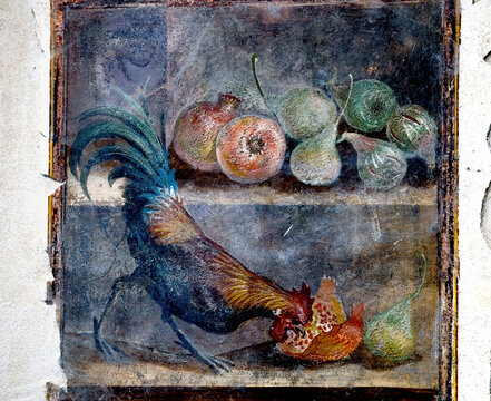 ancient Pompeian fresco of a rooster with fruit and pomegranates, the pomegranate was a symbol of fertility and the rooster was a symbol of strength and health, Pompeii 79 AD Italy