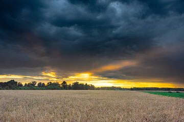 Wieczorne niebo pokryte ciemnymi, burzowymi chmurami. Na linii horyzontu widać smugę padającego deszczu. Widać tam przejaśnienia rozświetlone promieniami zachodzącego słońca. © boguslavus