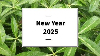 Happy new year 2025 greetings on white color with water drops on green leaf background