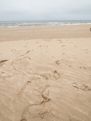 Fresh human footprints on dry sand. Go ahead. Top view. Blank space for text, quotes or sayings.