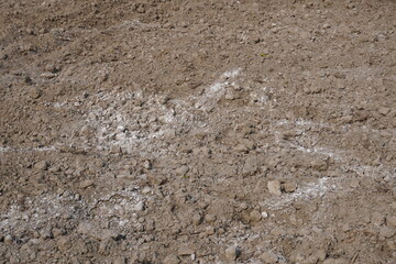 Fertilizer has been given for increasing the soil fertility